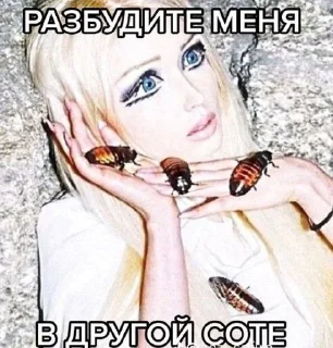 Sticker from мы живем в сотах :: @iluvbonin