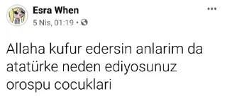 🌟 emoji Türk Kawga pack by @QuotLyBot Telegram sticker 20 of 119