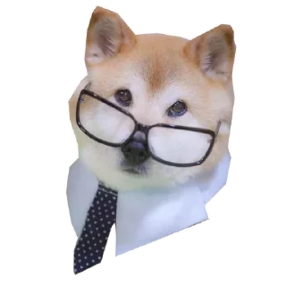 💼 emoji @DanieleGatto's userbot pack 2 Telegram sticker 12 of 120