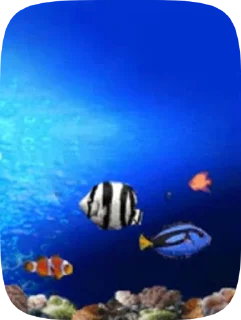 Sticker from Fish
