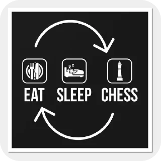 Sticker from Chess