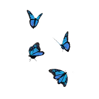 💈 emoji ˚₊‧꒰ა 𝓑𝗎𝗍𝗍𝖾𝗋𝖿𝗅𝗒 ໒꒱ ‧₊˚       @Vi3UAl Telegram sticker 23 of 32