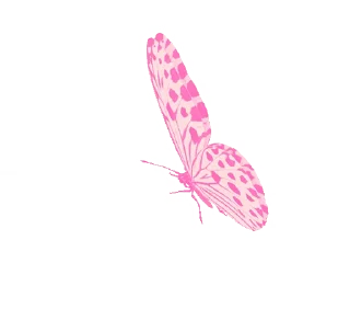 💈 emoji ˚₊‧꒰ა 𝓑𝗎𝗍𝗍𝖾𝗋𝖿𝗅𝗒 ໒꒱ ‧₊˚       @Vi3UAl Telegram sticker 9 of 32