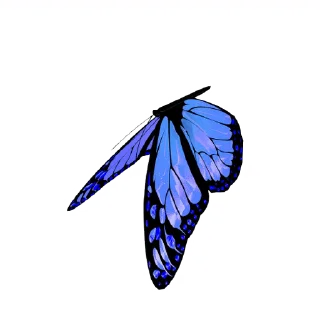 💈 emoji ˚₊‧꒰ა 𝓑𝗎𝗍𝗍𝖾𝗋𝖿𝗅𝗒 ໒꒱ ‧₊˚       @Vi3UAl Telegram sticker 21 of 32