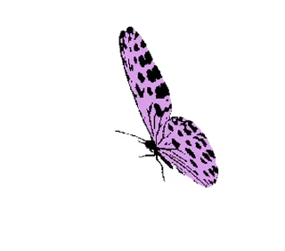 💈 emoji ˚₊‧꒰ა 𝓑𝗎𝗍𝗍𝖾𝗋𝖿𝗅𝗒 ໒꒱ ‧₊˚       @Vi3UAl Telegram sticker 5 of 32