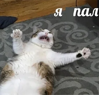 Sticker from Муд: Николай