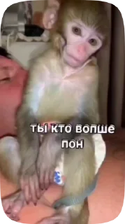 Sticker from Обезьянки поны 9