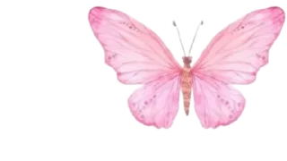 🦋 emoji @Nutella_188 🍬🍡🍫🍬🍡🍫🍬🍡🍫🍬🍡🍫🦋✨🦋✨آيَٰـُـٰٓ🦋آنَٰـُـٰٓآ Telegram sticker 8 of 108