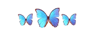 🦋 emoji @Nutella_188 🍬🍡🍫🍬🍡🍫🍬🍡🍫🍬🍡🍫🦋✨🦋✨آيَٰـُـٰٓ🦋آنَٰـُـٰٓآ Telegram sticker 5 of 108