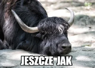 🐃 emoji reakcje Telegram sticker 9 of 35