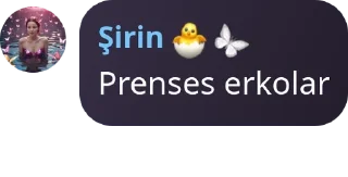 🛩️ emoji 𝐒𝐎𝐇𝐁𝐄𝐓-İ 𝐊𝐄𝐋𝐀̂𝐌 pack by @QuotLyBot Telegram sticker 11 of 120