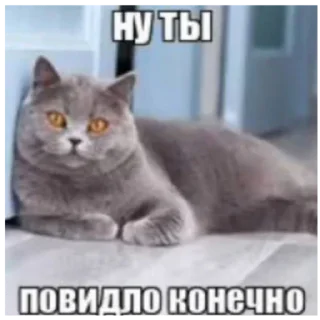 Sticker from Фимоз - @FlateFoggy1