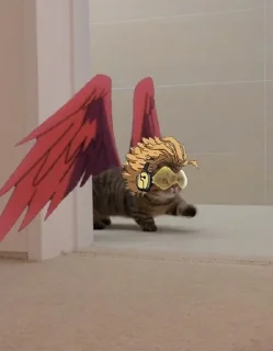 Sticker from Hawks (HBD ddsh)