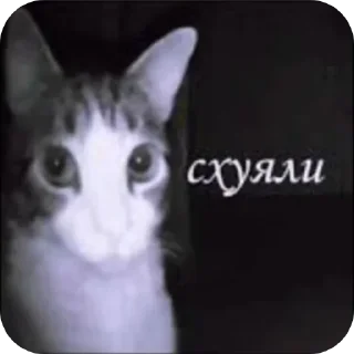 Рандом sticker 2