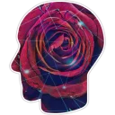 🌹 emoji سوزان شمس Telegram sticker 16 of 120