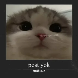 😔 emoji @Neverl00k @AsenaUserBot Paketi 1 Telegram sticker 24 of 109