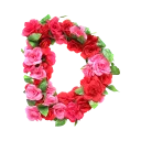 Sticker from BN Roses Alphabet🌹