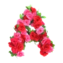Sticker from BN Roses Alphabet🌹
