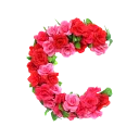 Sticker from BN Roses Alphabet🌹