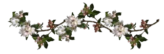 ▫️ emoji ﹙…﹚    𝒱𝗂𝗇𝗍𝖺𝗀𝖾        ♔        @di7rse Telegram sticker 17 of 19