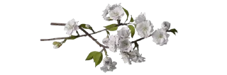 ▫️ emoji ﹙…﹚    𝒱𝗂𝗇𝗍𝖺𝗀𝖾        ♔        @di7rse Telegram sticker 14 of 19