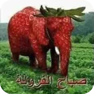 🍓 emoji Жижа шалит Telegram sticker 18 of 120