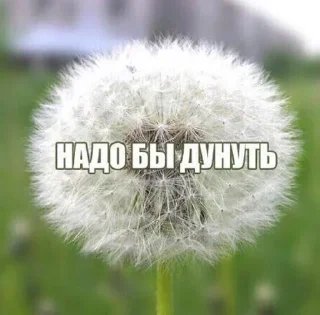 Sticker from я ебал меня сосали