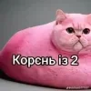 🤩 emoji Сімійство піпідастрів @TgEmodziBot Telegram sticker 1 of 24