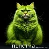 🤩 emoji Сімійство піпідастрів @TgEmodziBot Telegram sticker 3 of 24