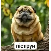 🤩 emoji Сімійство піпідастрів @TgEmodziBot Telegram sticker 4 of 24