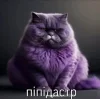 🤩 emoji Сімійство піпідастрів @TgEmodziBot Telegram sticker 12 of 24
