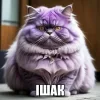 🤩 emoji Сімійство піпідастрів @TgEmodziBot Telegram sticker 24 of 24