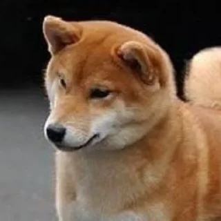 Sticker from Doggo doing things