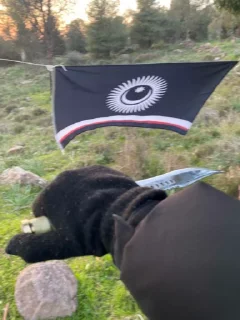 🌟 emoji Türk Direniş Cephesi Telegram sticker 11 of 13
