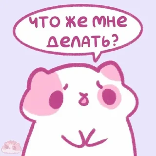 Sticker from 💞🍓Клубничные котики🍓💞