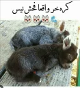 😍 emoji تنعایی علی Telegram sticker 11 of 52