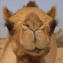 😐 emoji تنعایی علی Telegram sticker 5 of 52