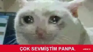 🥺 emoji @ZEHIR_X @AsenaUserBot Paketi 1 Telegram sticker 9 of 30