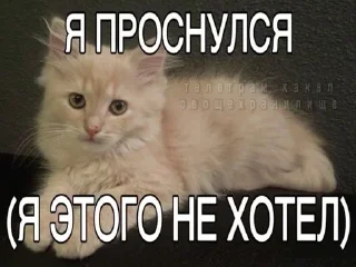 🌟 emoji Заебали уже все просто Telegram sticker 15 of 102