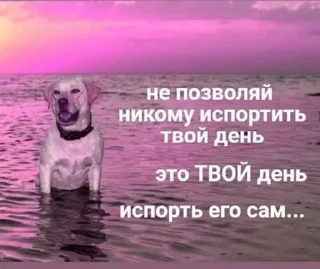 🌟 emoji Заебали уже все просто Telegram sticker 7 of 102