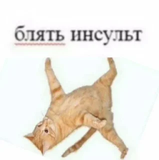 🌟 emoji Заебали уже все просто Telegram sticker 19 of 102