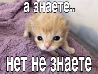 🌟 emoji Заебали уже все просто Telegram sticker 10 of 102