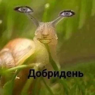 🌟 emoji Заебали уже все просто Telegram sticker 14 of 102