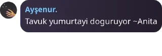 👨‍❤️‍💋‍👨 emoji Ekşi Oyun pack by @QuotLyBot Telegram sticker 7 of 120