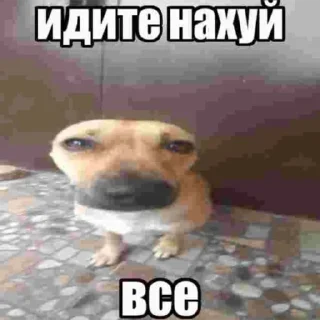 Sticker from хихи