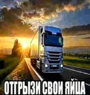 отгрызи свои яйца sticker 1