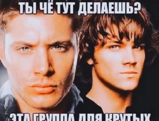 🌟 emoji отгрызи свои яйца Telegram sticker 8 of 29