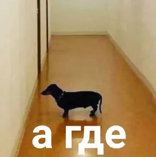 🌟 emoji отгрызи свои яйца Telegram sticker 6 of 29