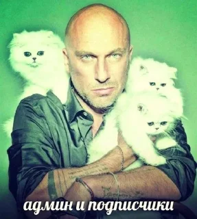 🌟 emoji отгрызи свои яйца Telegram sticker 9 of 29