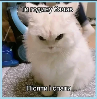 😂 emoji Пиздец @Ctikerubot Telegram sticker 8 of 72